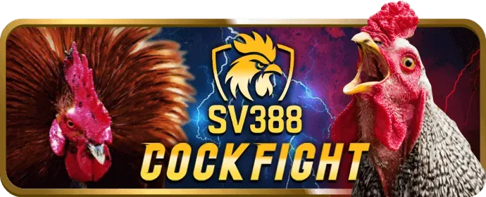 Phân tích dữ liệu cá cược go88 bet